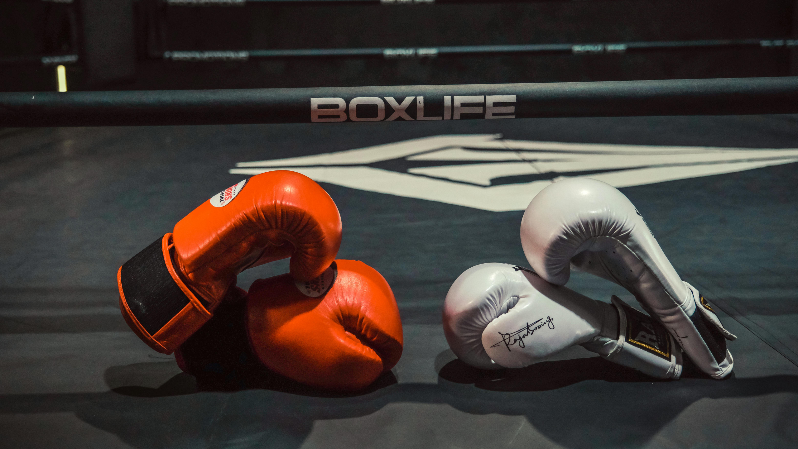 Local boxing gym with ring and bags